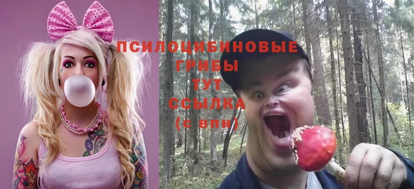 СК Алзамай
