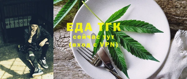 СК Алзамай