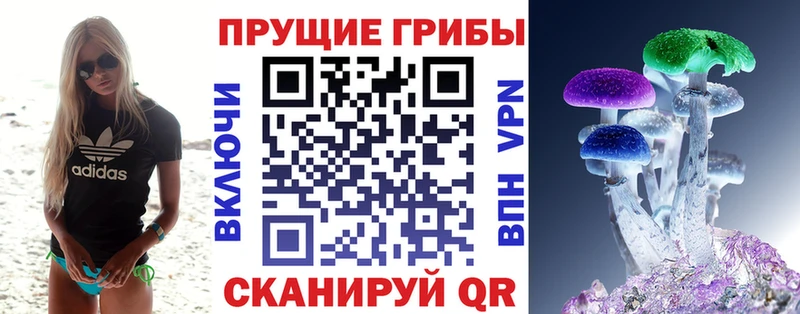 купить   Лагань  Псилоцибиновые грибы прущие грибы 